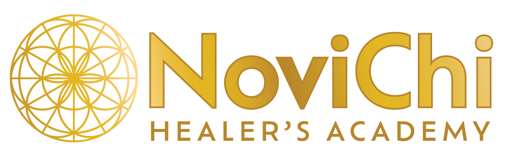 NoviChi Academy Courses logo